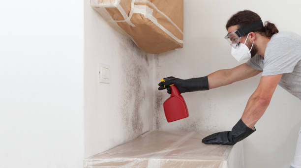 Professional Crawl Space Mold Remediation technician working in Washington, NC