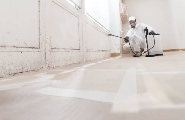 24/7 Emergency Crawl Space Mold Remediation experts in Washington, NC